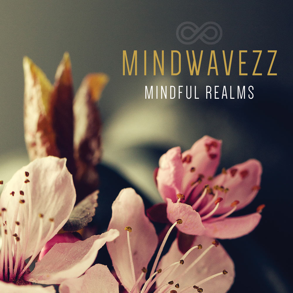 Mindful Realms